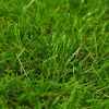 Artificial Grass 4.4'x26.2'/1.6" Green